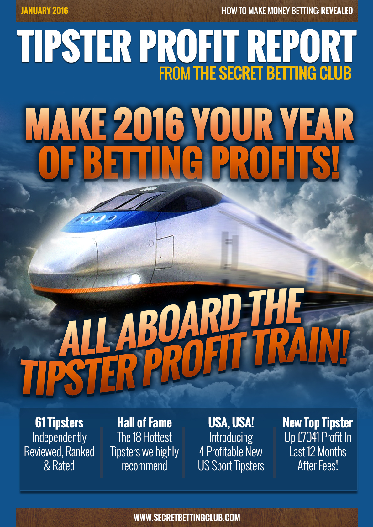 Tipster Profit Report January 2016